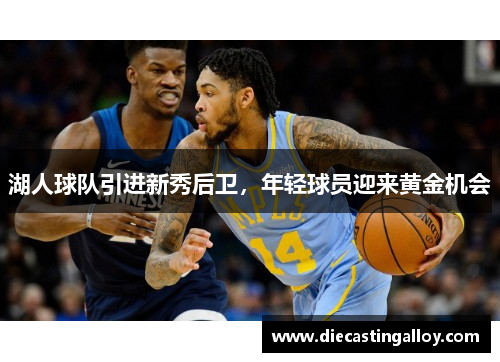 湖人球队引进新秀后卫，年轻球员迎来黄金机会