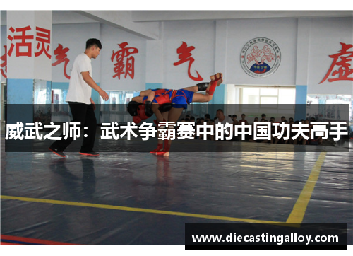 威武之师：武术争霸赛中的中国功夫高手