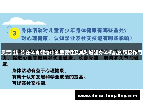 灵活性训练在体育健身中的重要性及其对增强身体机能的积极作用