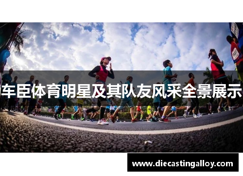 车臣体育明星及其队友风采全景展示
