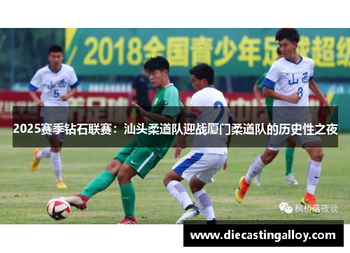 2025赛季钻石联赛：汕头柔道队迎战厦门柔道队的历史性之夜